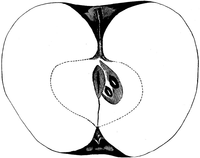 Figure 230.
