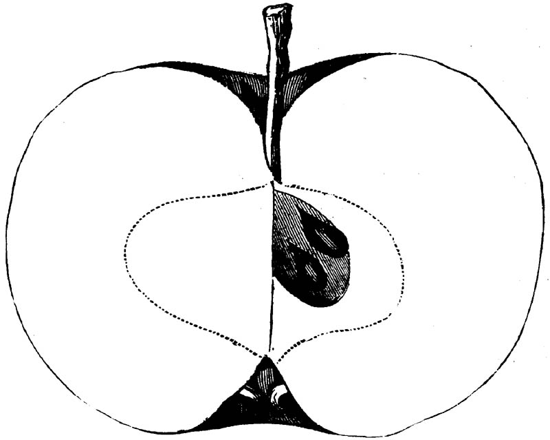 Figure 231.