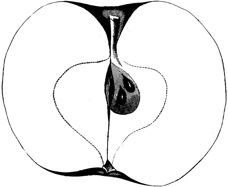 Figure 232.