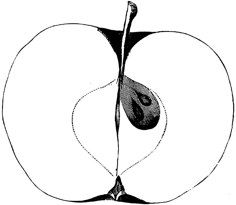 Figure 233.