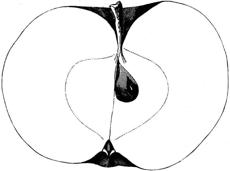 Figure 234.