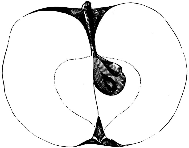 Figure 235.
