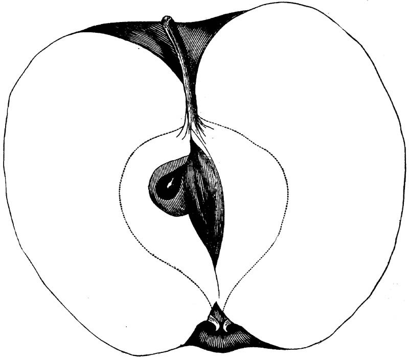 Figure 236.