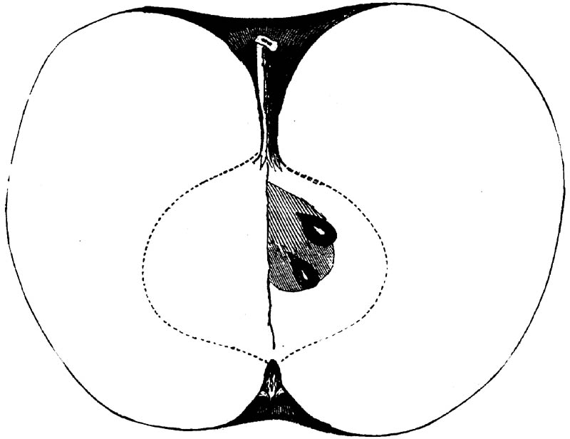 Figure 237.