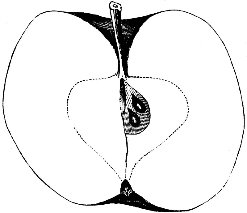 Figure 238.