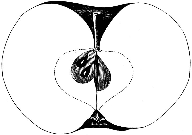 Figure 239.
