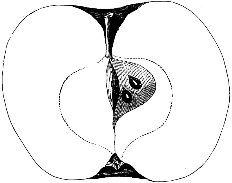 Figure 240.