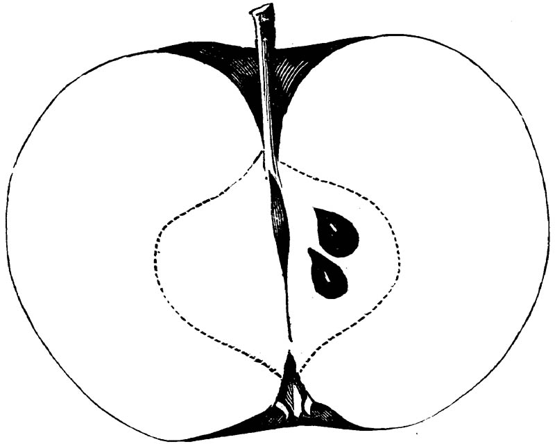 Figure 241.