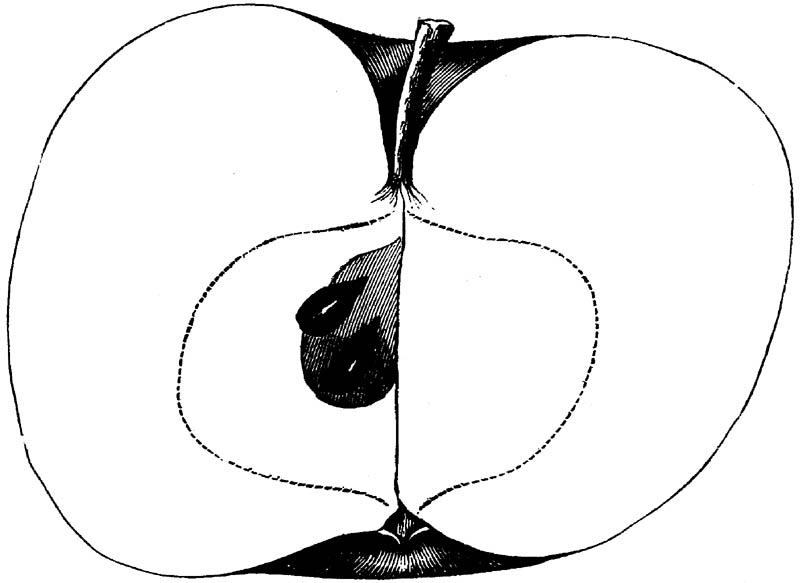 Figure 242.