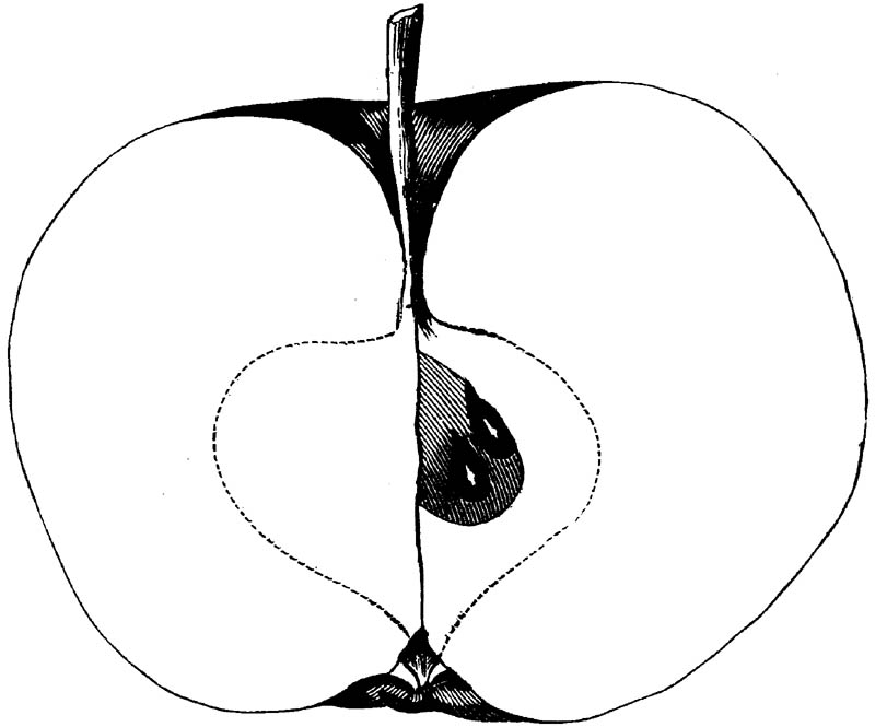 Figure 244.