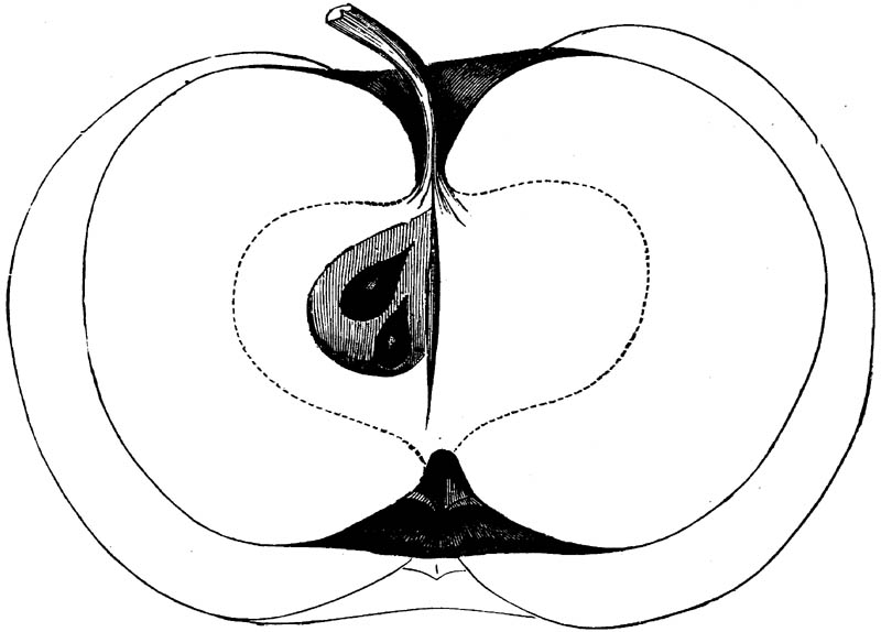 Figure 246.
