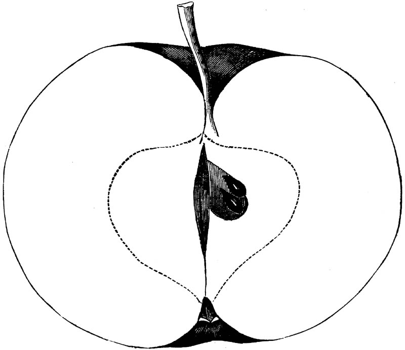 Figure 247.