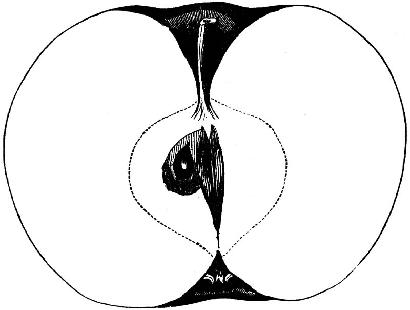 Figure 248.