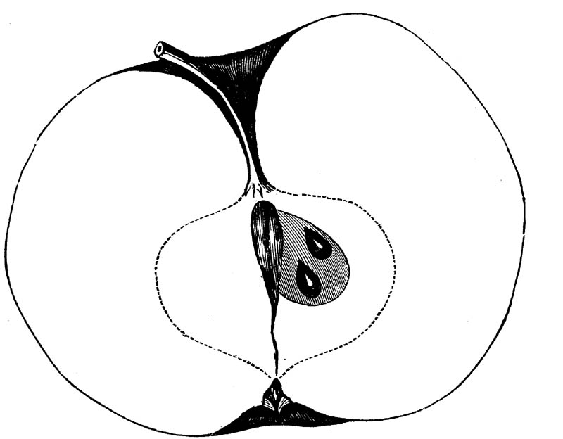 Figure 250.