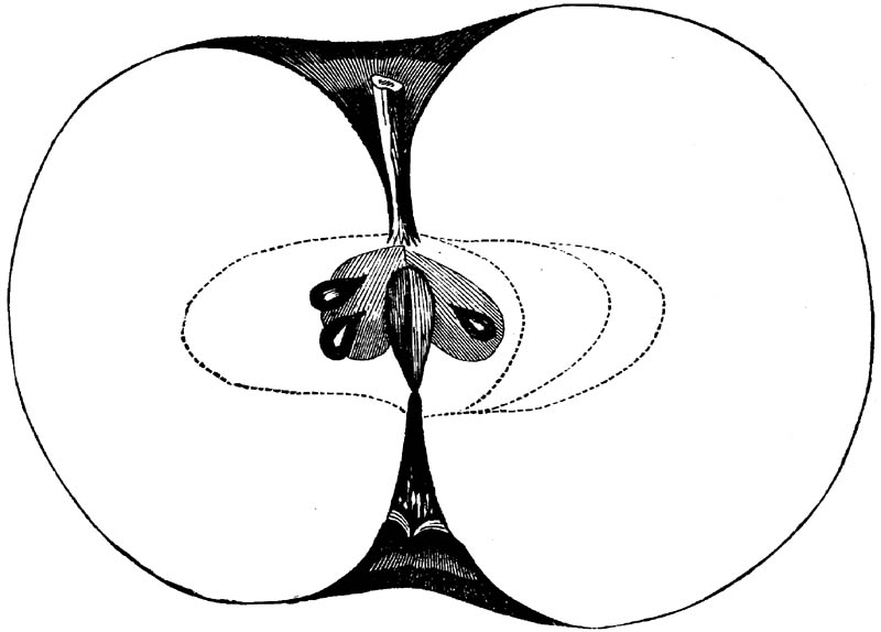 Figure 251.