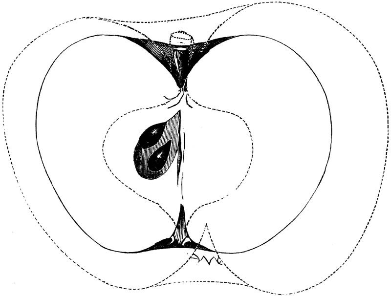 Figure 252.