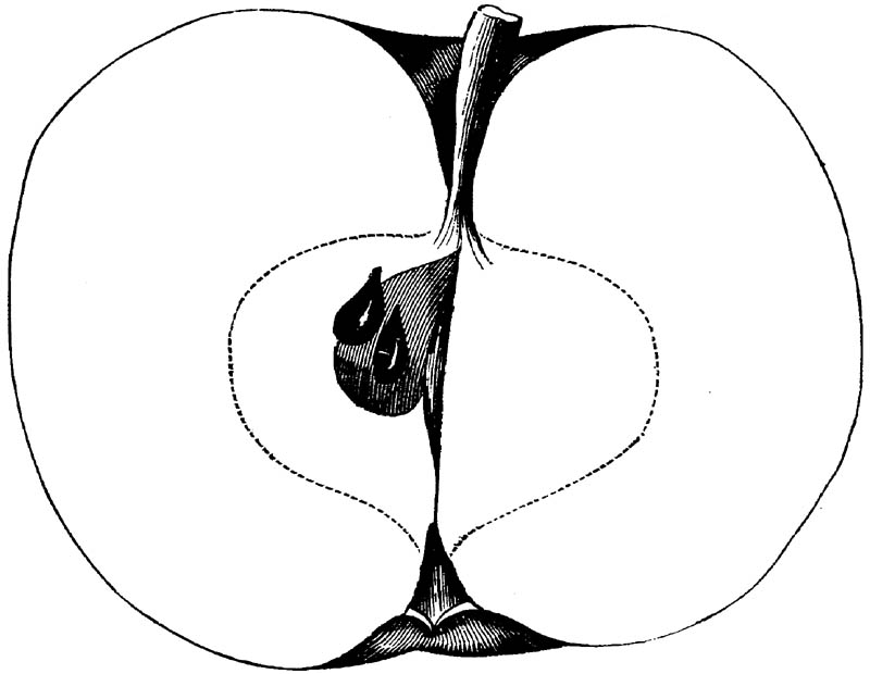 Figure 253.