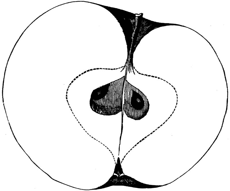 Figure 254.
