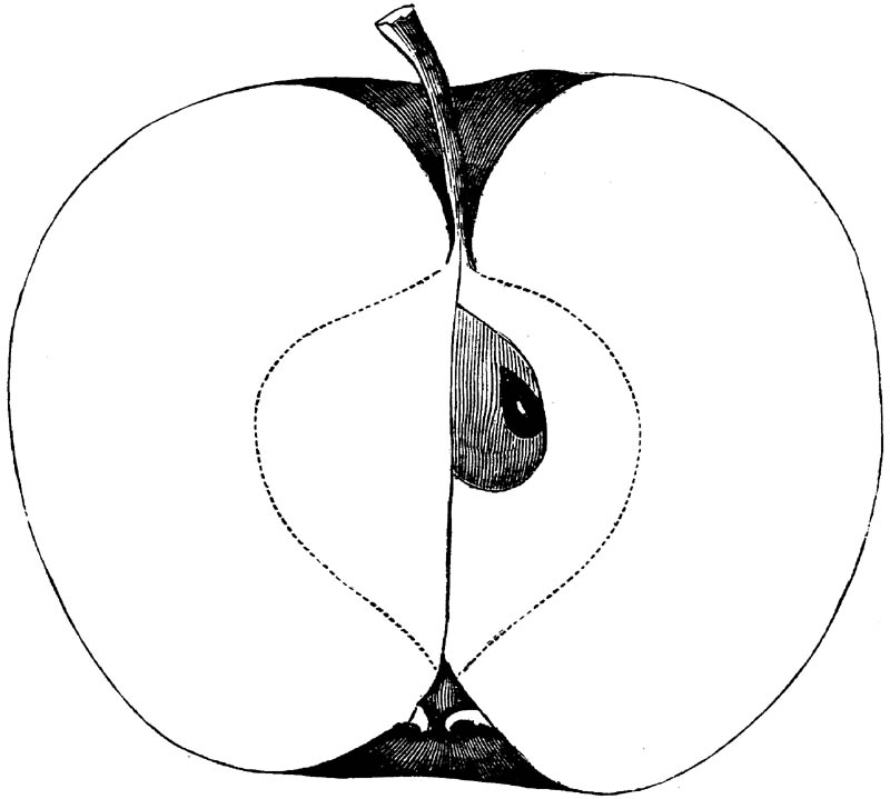Figure 255.