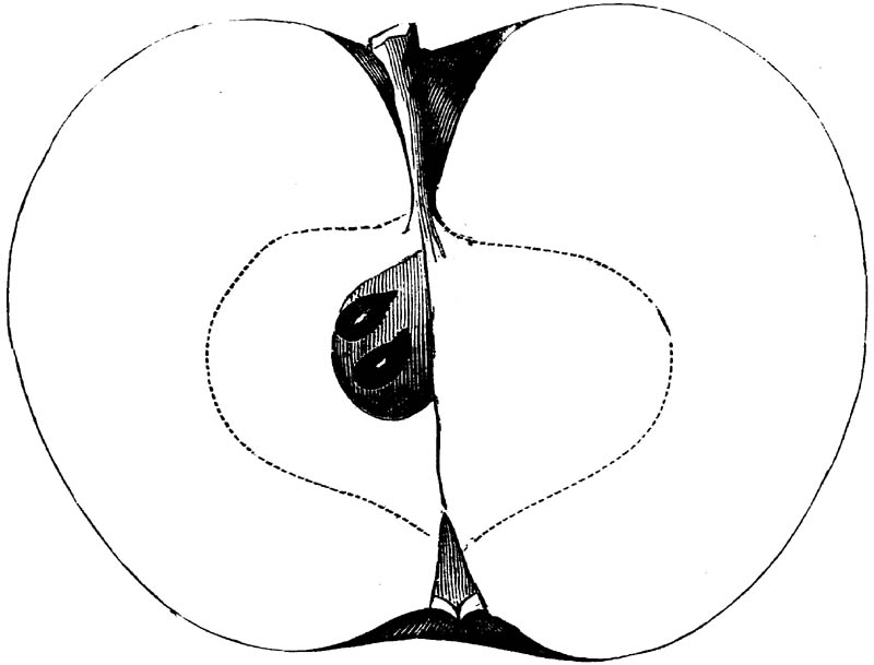 Figure 256.