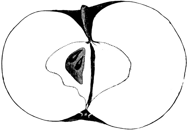 Figure 258.