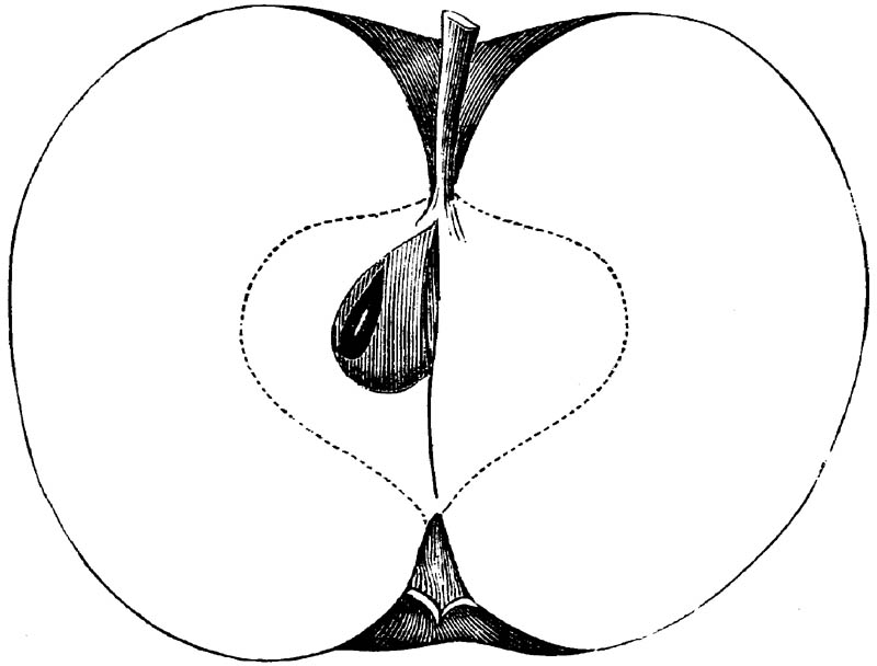 Figure 259.