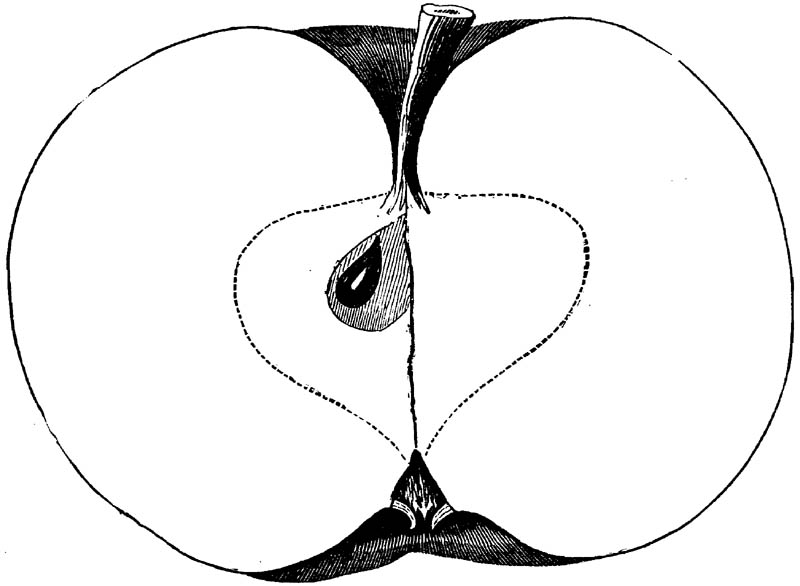 Figure 260.