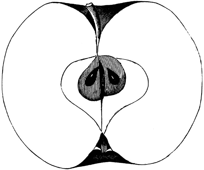 Figure 266.