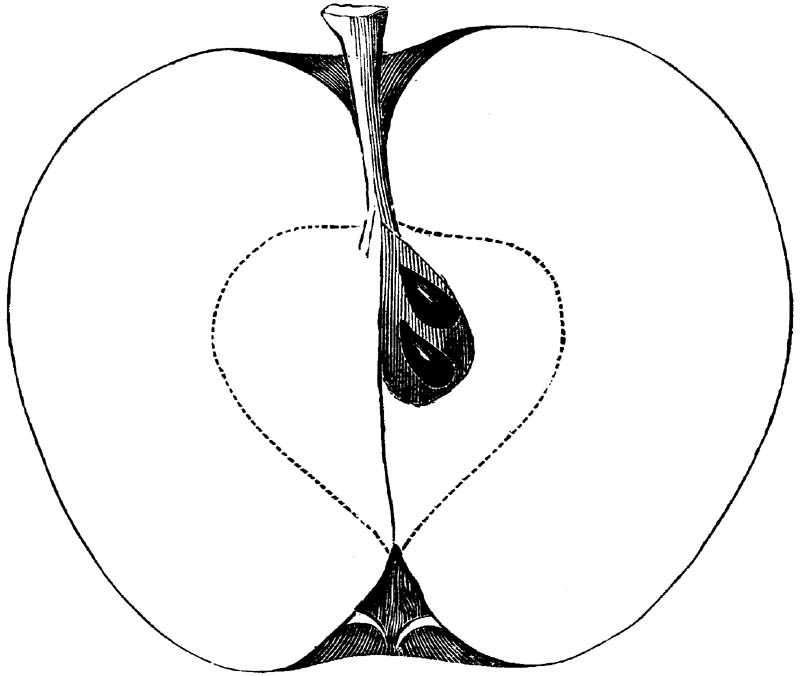 Figure 273.