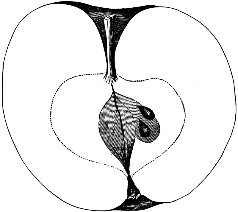 Figure 280.