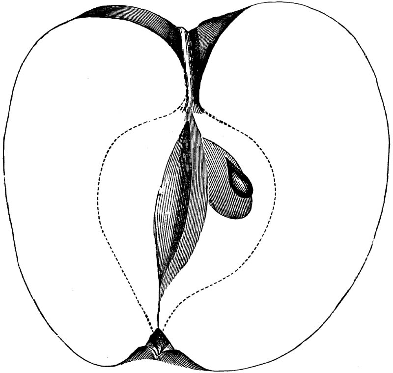 Figure 292.