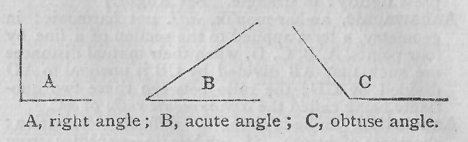 A, right angle; B, acute angle; C, obtuse angle.