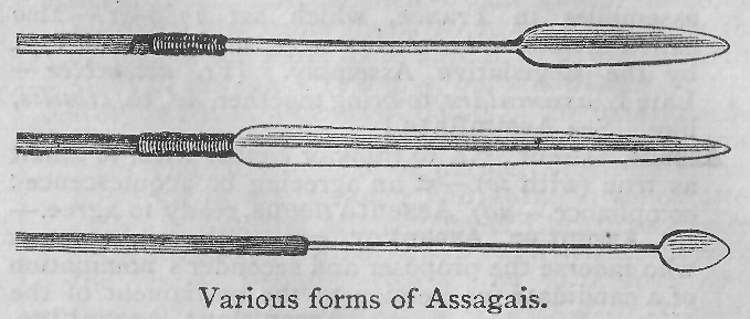 Various forms of Assagais.