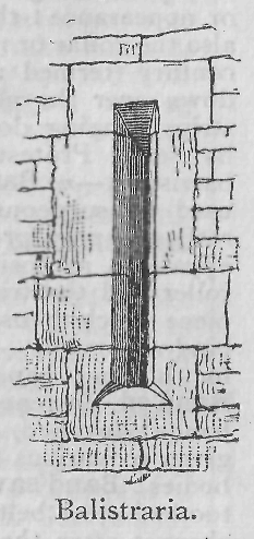  Balistraria.