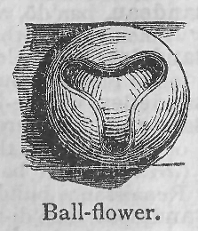 Ball-flower.