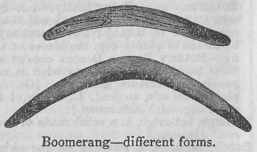Boomerang--different forms.
