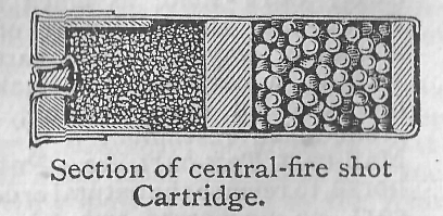 Section of central-fire shot Cartridge.