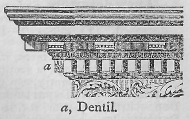  (a) Dentil.