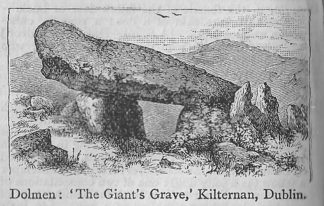 Dolmen: 'The Giant's Grave,' Kilternan, Dublin.