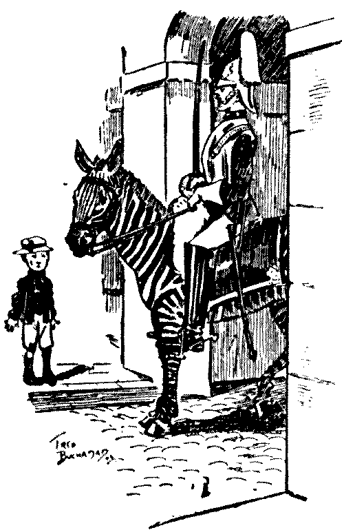 zebra mules