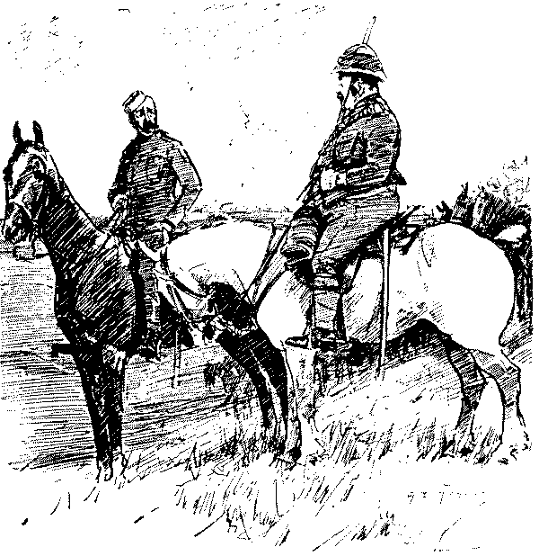 MULTUM IN PARVO