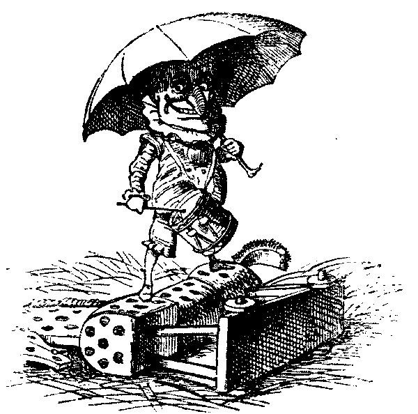 Mr. P with umbrella