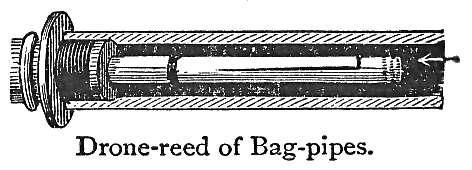 Reed.