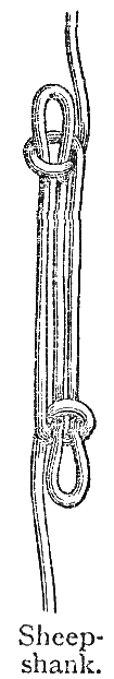 Sheepshank.