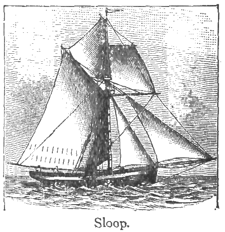 Sloop.
