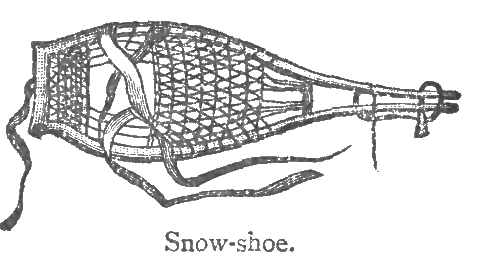 Snowshoe.