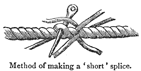 Splice.