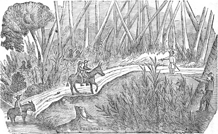 WHOA, MULE! CAPTURED, BY G—D!