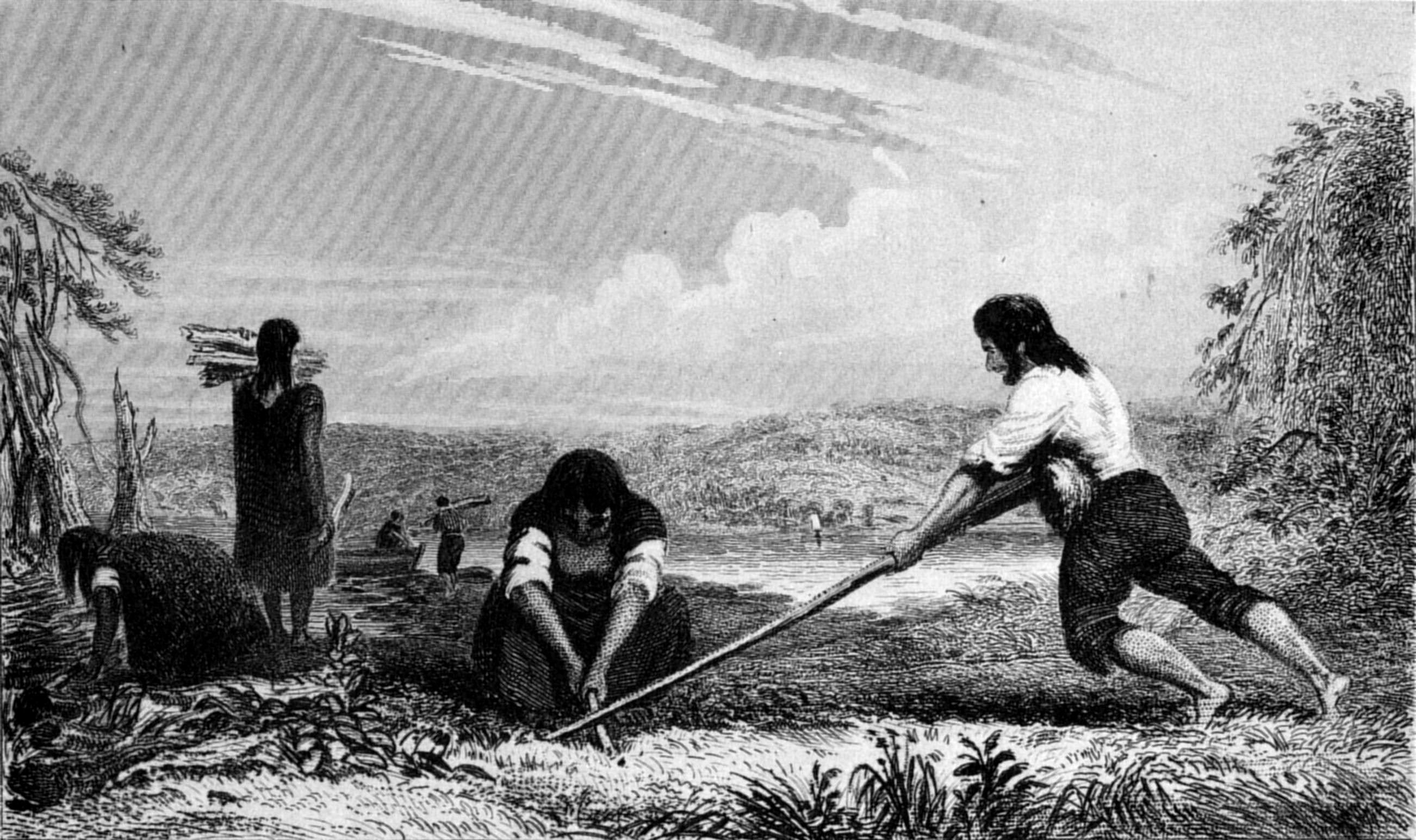 Breast Ploughing at Chile.