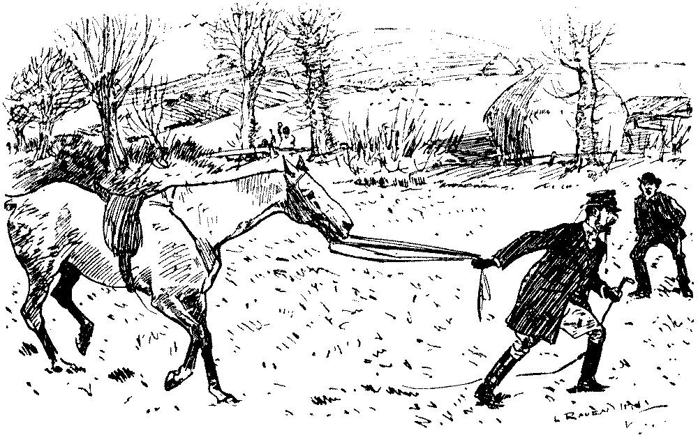 TRIALS OF A NOVICE